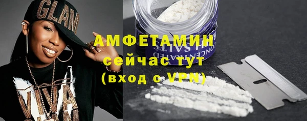 хмурый Магас