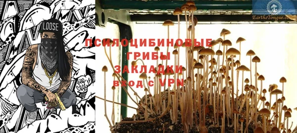 хмурый Магас