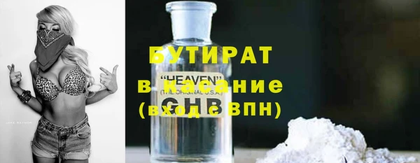 хмурый Магас