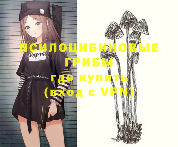 дмт Лихославль