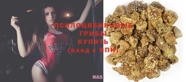 хмурый Магас