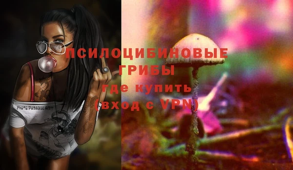 хмурый Магас